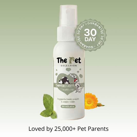 DentaGuard™ - Dogs/Cats