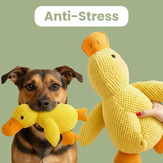 ZenDuck™ – Anti-Stress Duck Toy