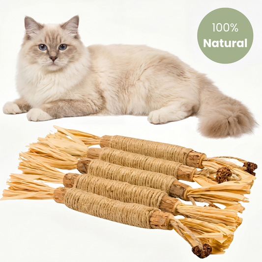 DentaVine™ – Silvervine Dental Sticks