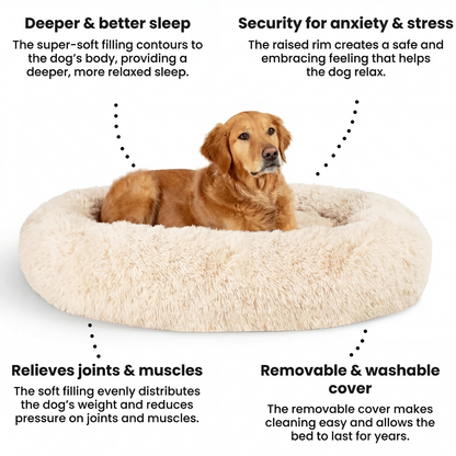 PawRest™ – Relieves Stress & Helps With Anxiety