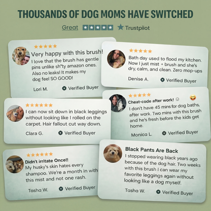 Pet Mist Brush + Solution Refills