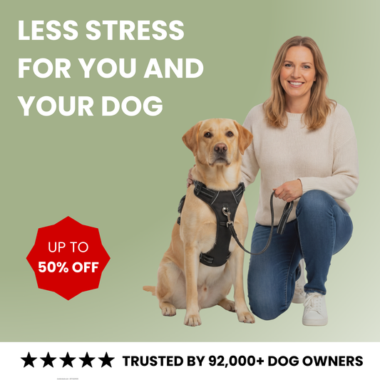 LeadEase™ No-Pull Harness