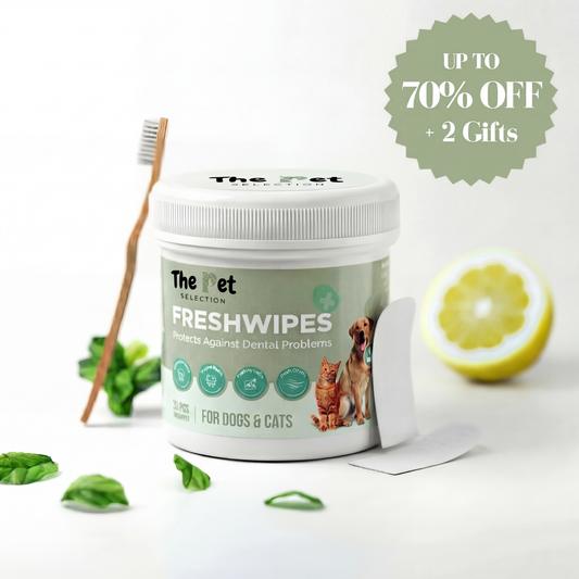 FreshWipes Kit – Protects Against Dental Diseases